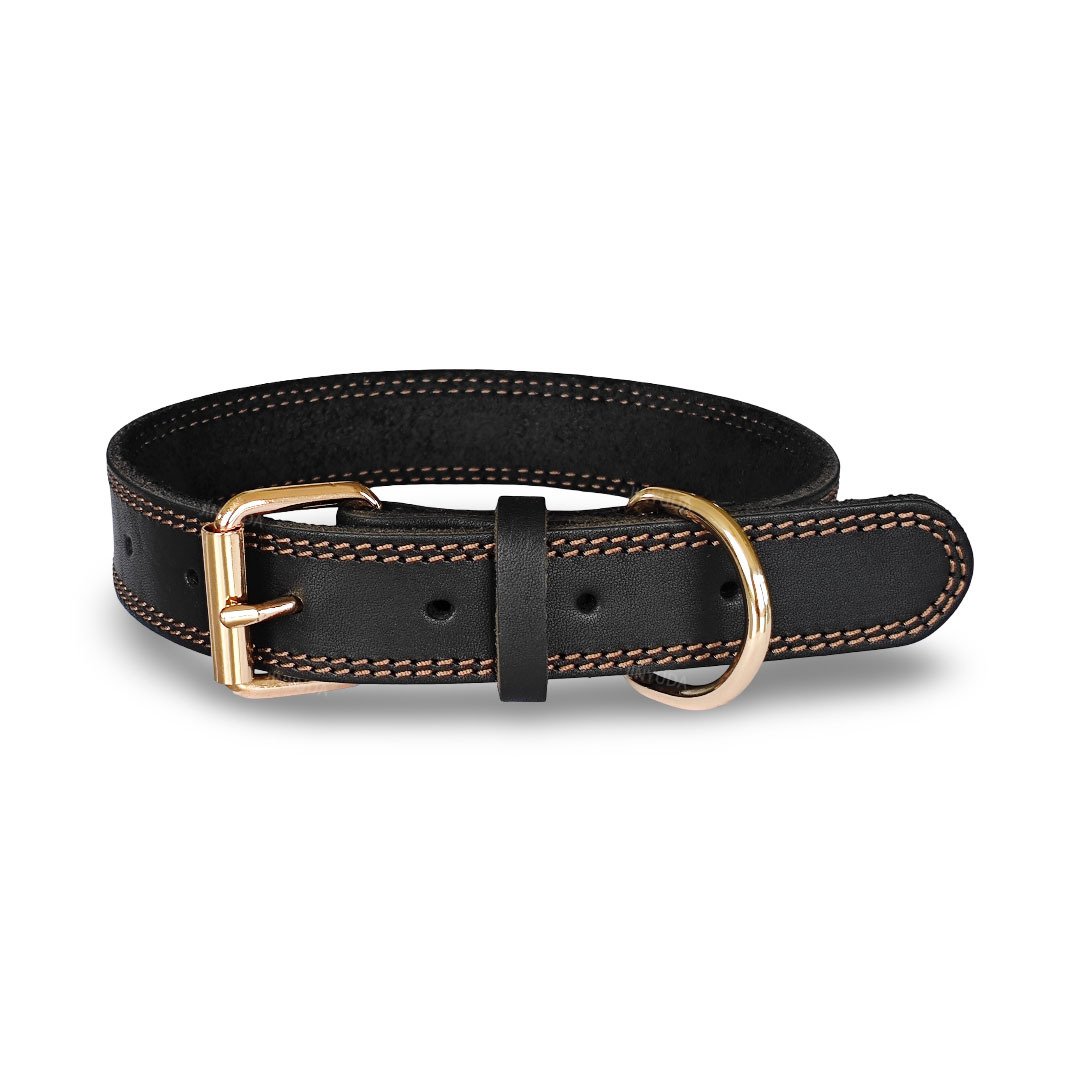 12-1 collar balck