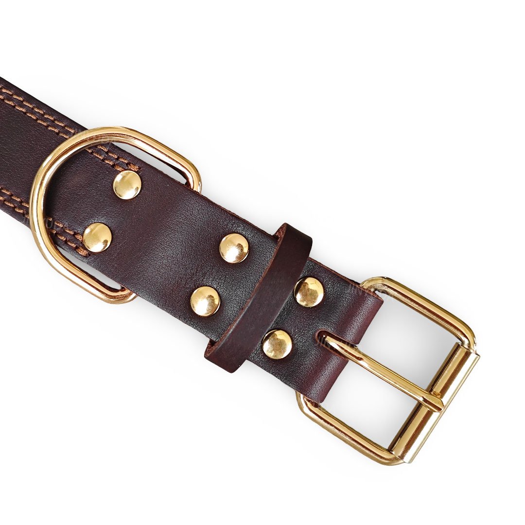 12-1 collar detail