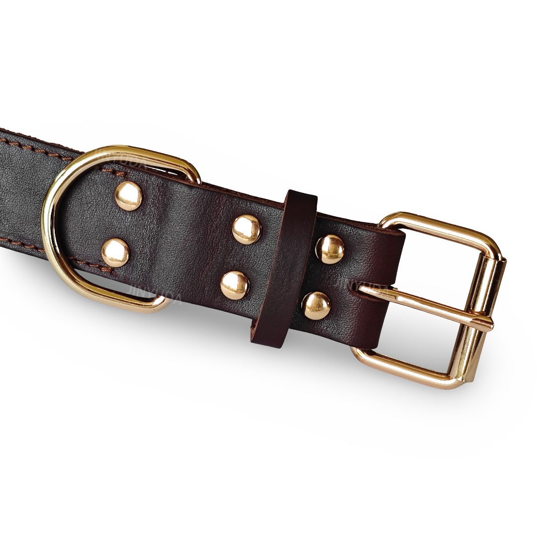 12-2 collar detail