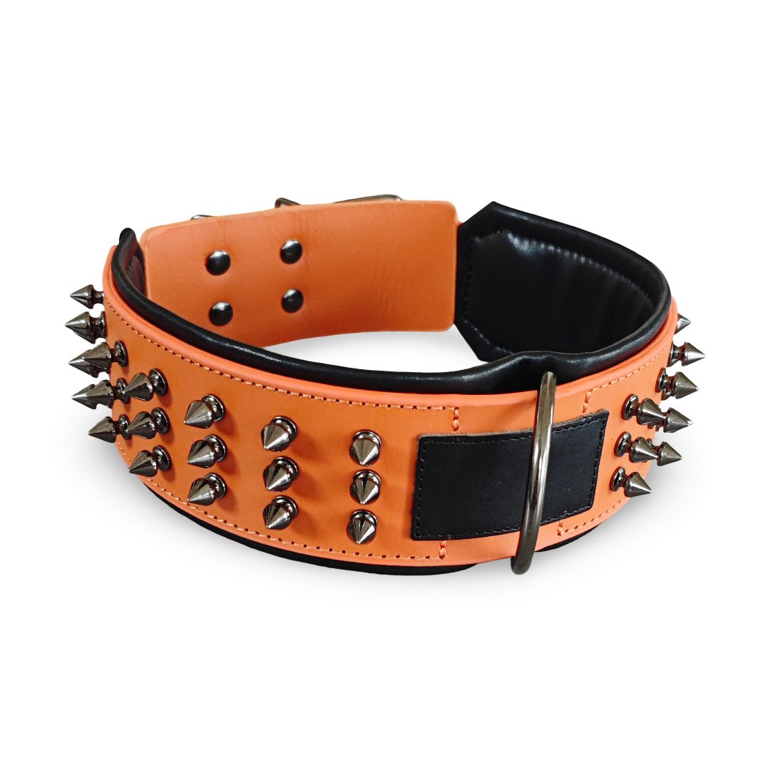 126 collar orange