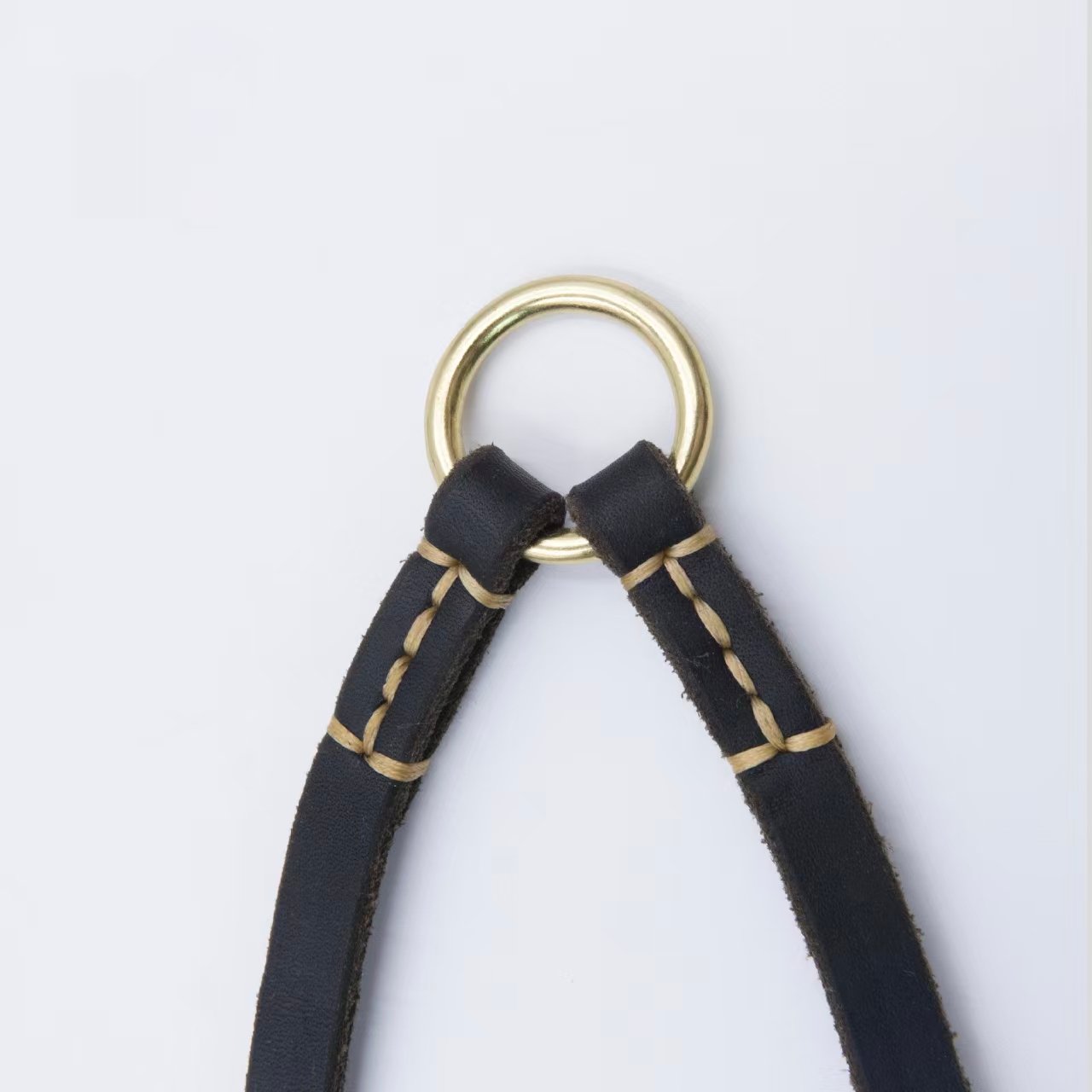 229 leash detail
