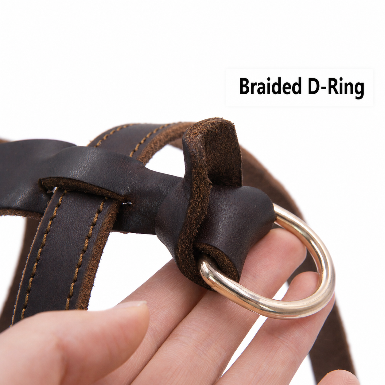 H1 harness 4