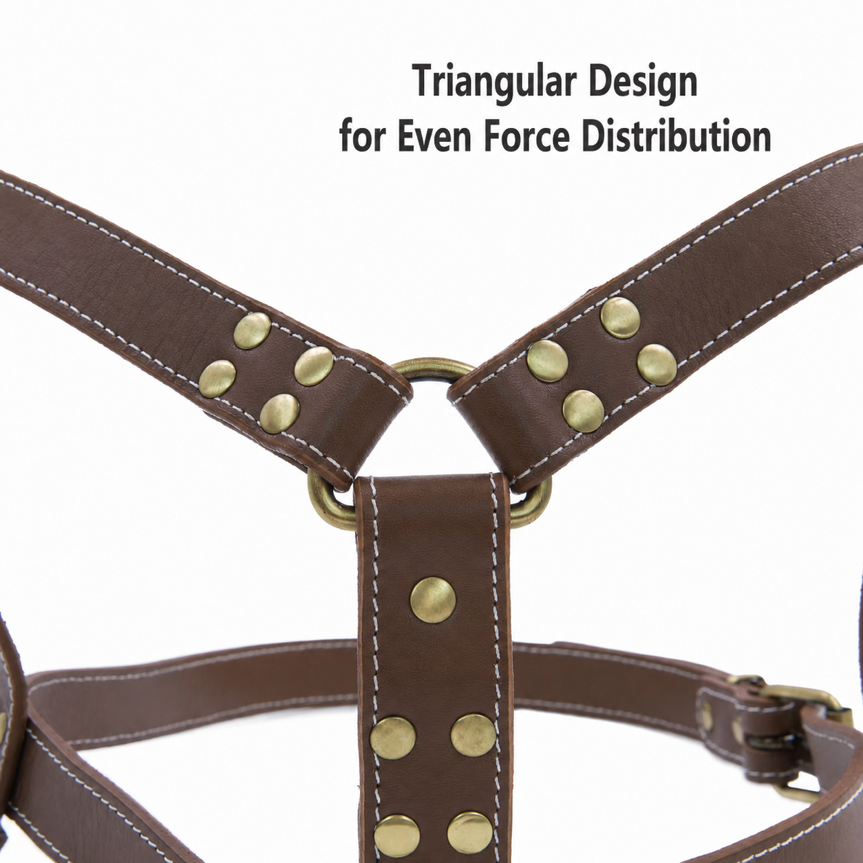 M-1 harness 3